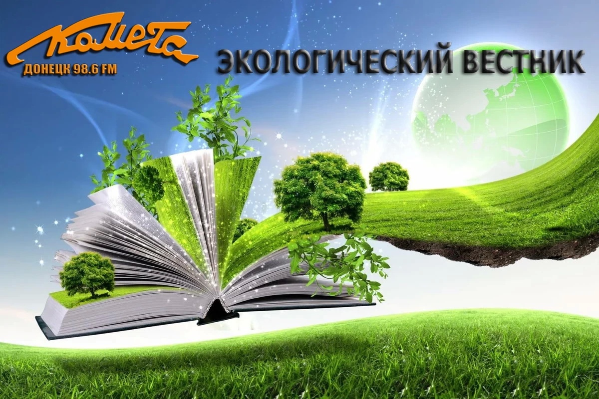 Заведующий кафедрой ботаники и экологии Андрей Сафонов в передаче «Экологический вестник» на радио «Комета Донецк»