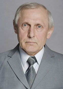 доктор физико-математических наук, профессор Гольцев Аркадий Сергеевич