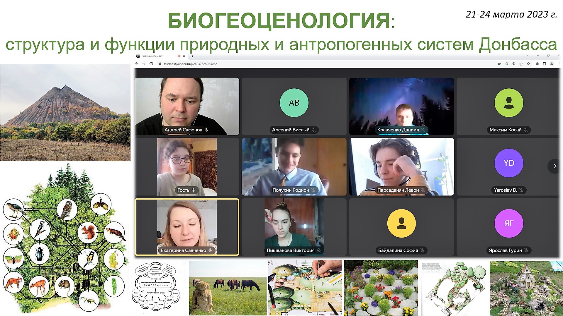 Учёные биологического факультета проводят занятия в проекте «Интенсивные смены»