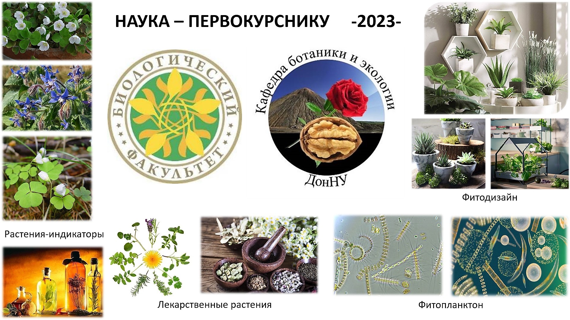 Кафедра ботаники и экологии презентовала направления работы на семинаре «Наука – первокурснику»